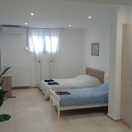 Anassa Studio Trikala Εξωτερικό φωτογραφία